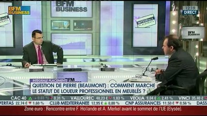 Comment marche le statut de loueur professionnel en meublé ?