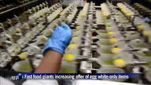 Family-owned egg plant separates whites from yolks