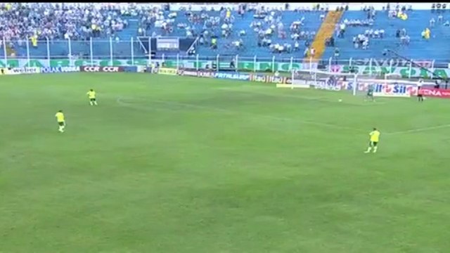 Brésil: des abeilles s'invitent dans un match de foot