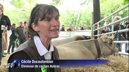 Les éleveurs à paris