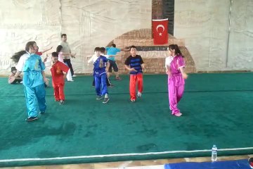 ankara wushu tao takımı