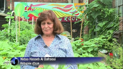 Des potagers mis à disposition des réfugiés aux Etats-Unis