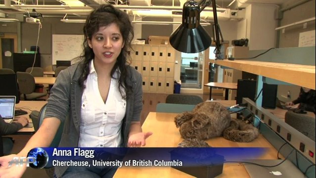 Un drôle de robot pour aider les enfants autistes