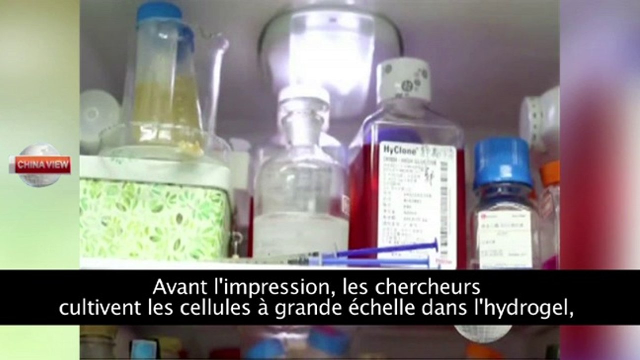 Des organes humains créés à partir d'imprimantes 3D