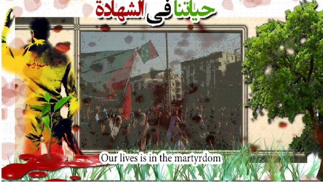 1st June 2014 Labaik Ya Hussain(as) March