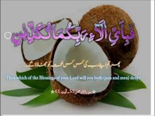 SURAH AL REHMAN QARI HANI AR RIFAI