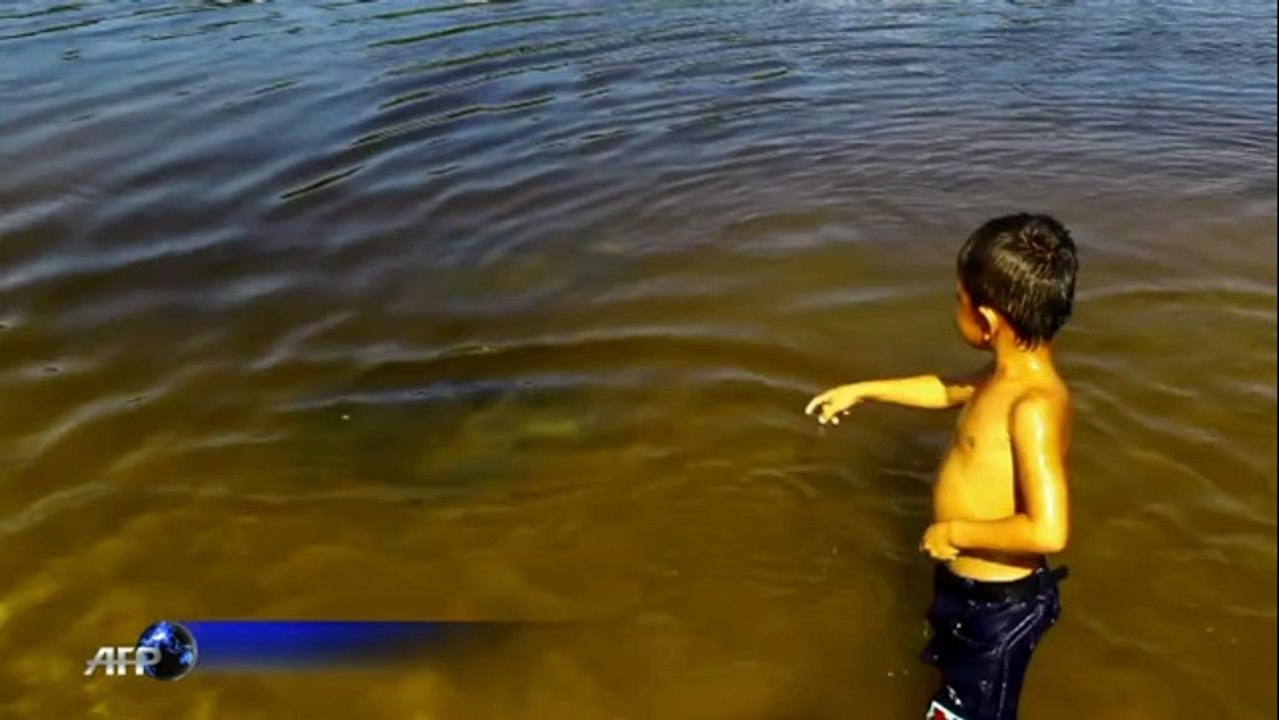 Mexique: un millier de tortues attendues sur la plage d'Ixtapilla