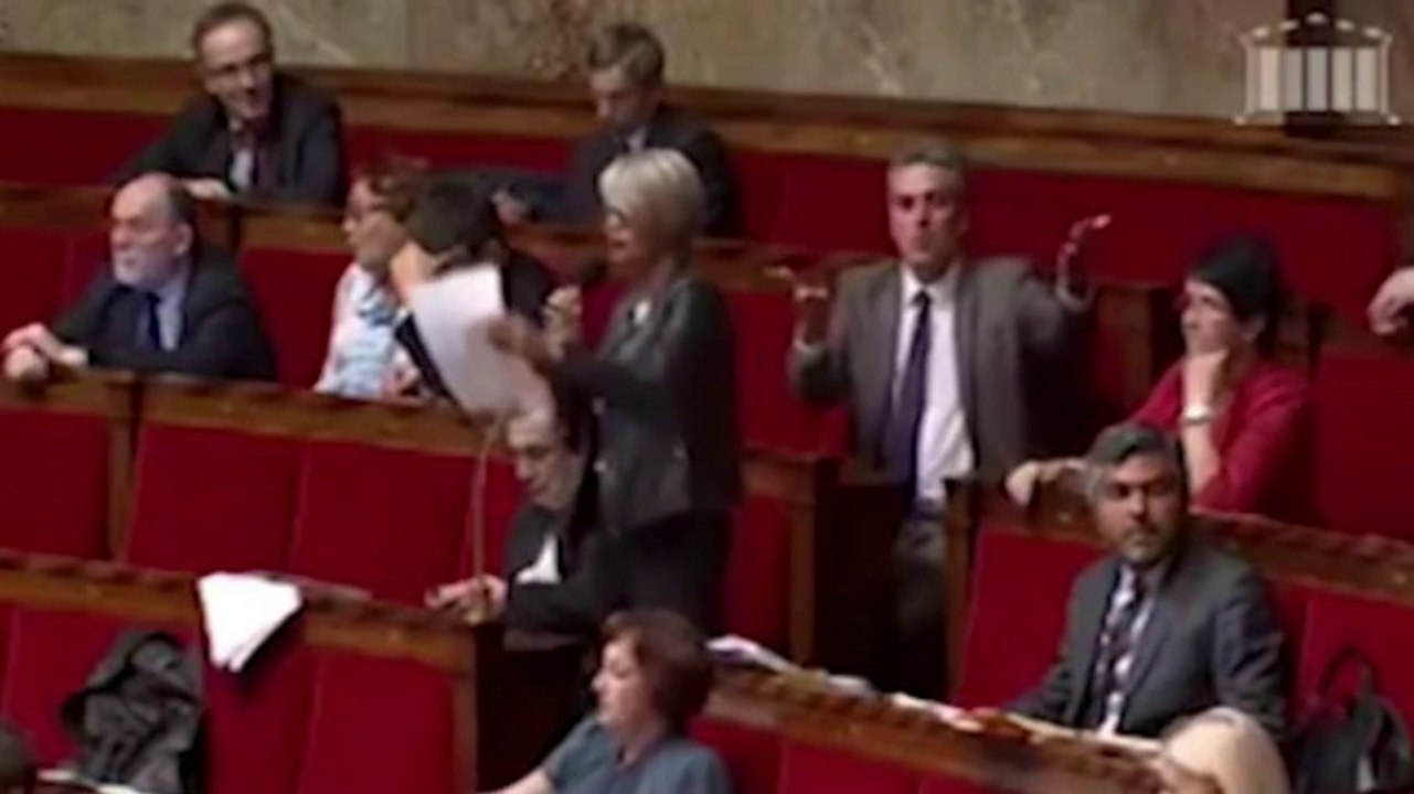 Imitation de poule: le dérapage d'un député UMP à l'Assemblée