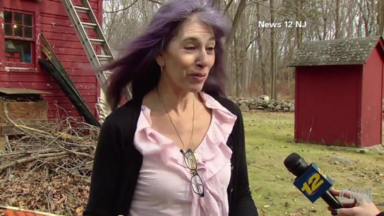 Deer pierced in the face by arrow