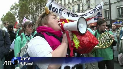 Loi agricole: les vétérianires en colère manifestent à Paris