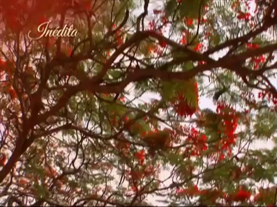 Meu Pecado - Chamada de Estréia Com a Música "Como Se Explica O Amor ?"
