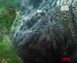 Be The Creature 30th May 2014 Video Watch Online Pt1