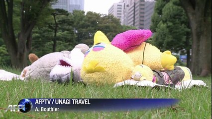 Une agence de tourisme... pour des peluches !