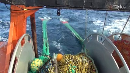 À la pêche sur un chalutier