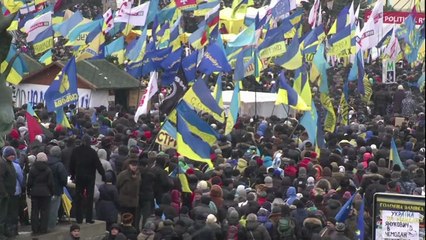 Ukraine: Timochenko réclame le départ du Président Ianoukovitch