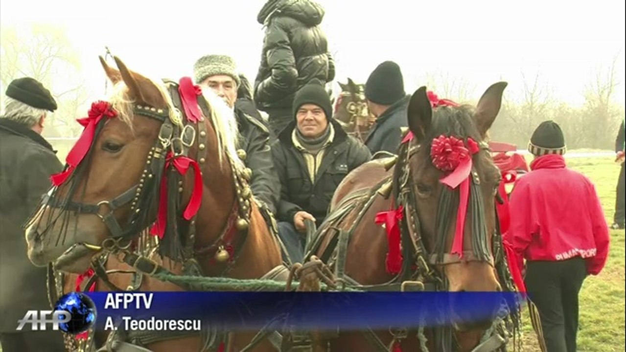 La Roumanie bénie ses chevaux pour l'Epiphanie