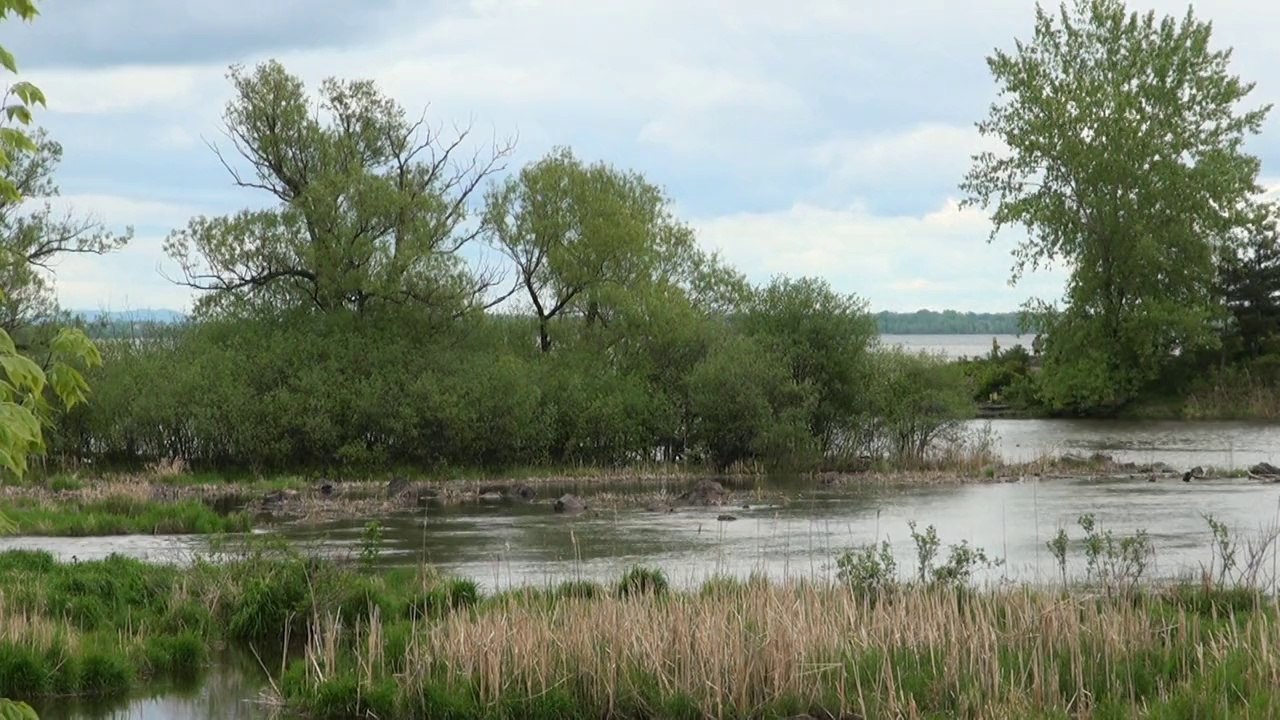 Canon de Pachelbel - ( Piano) - Détente