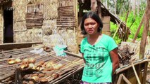 Philippines: les dégats humains du Typhon Haiyan