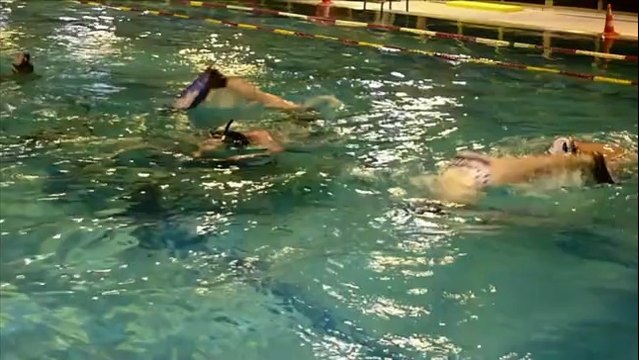 Le hockey subaquatique, une spécialité bretonne?