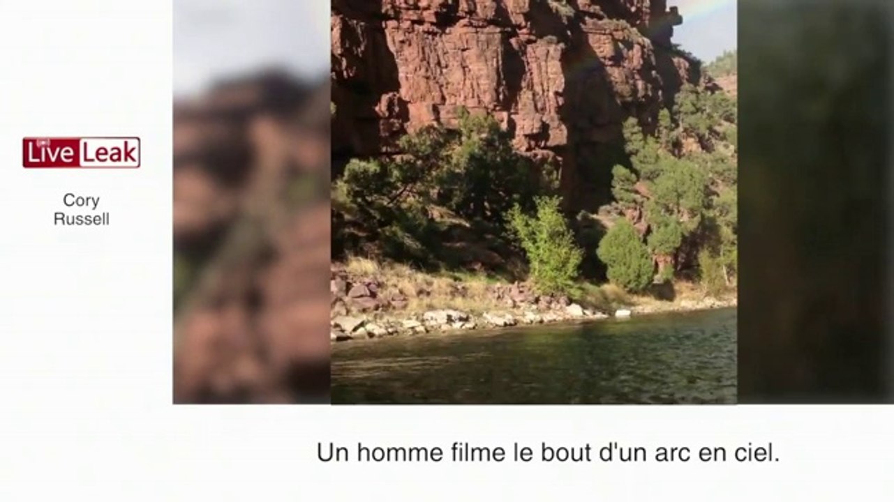 Zapping insolite: un ours intrépide et le duel entre Harry Potter et un Jedi