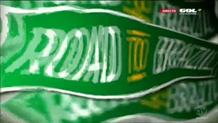 Bosnia and Herzegovina - Ivory Coast 2-1, Džeko (1-0), 30.05.