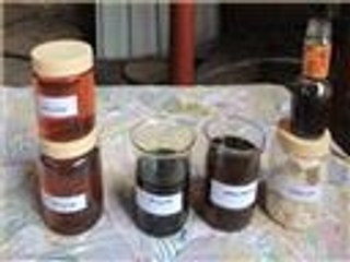 لأول مرة بغزة.. إنتاج وقود حيوي صديق للبيئة