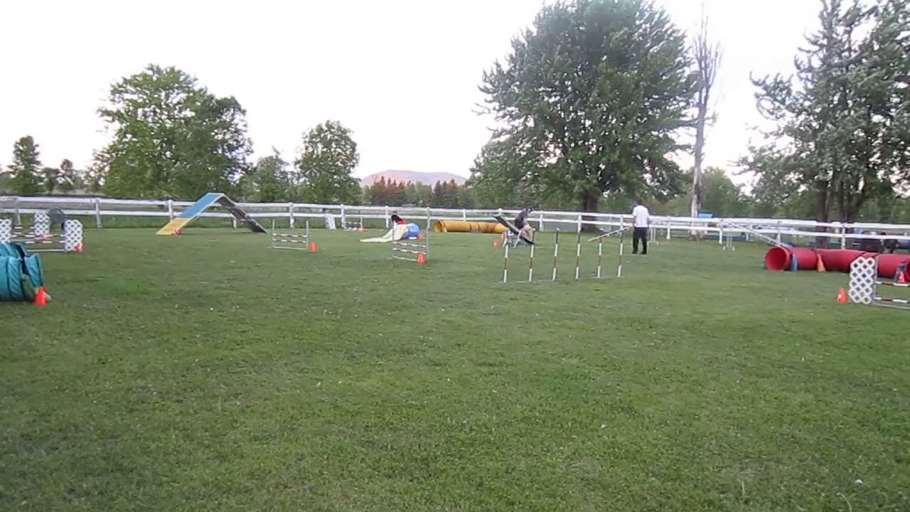 MVI_2039