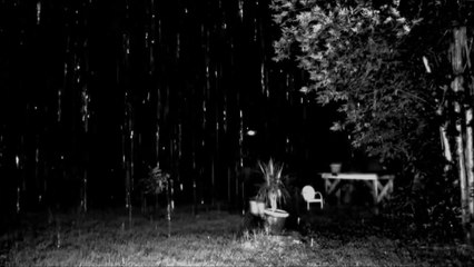 reza _ rain giver (31 recordings)