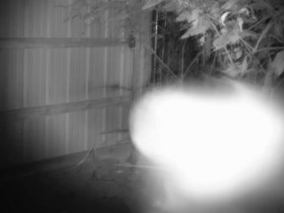 Times Past Haunted Farm - Gallo Family Ghost Hunters - Episode 26