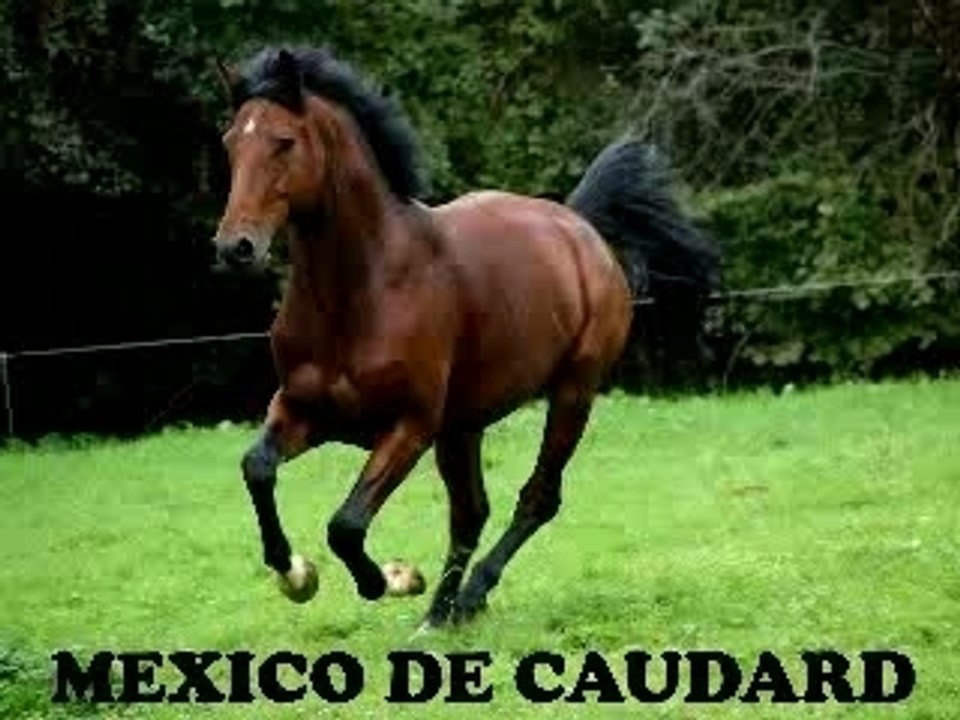 MEXICO DE CAUDARD
