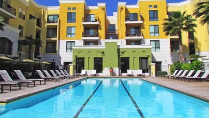 Gallery at Noho Commons is design to be fresh, friendly and fun.