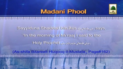 Madani Phool in English 09 - Meraj-un-Nabi (1)