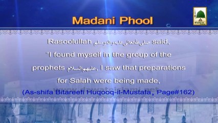 Madani Phool in English 08 - Meraj-un-Nabi (1)