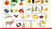Paleo Diet Food List - Ultimate Food and Grocery List for the Paleo Diet
