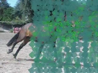 Pepito 1ere essai avec musique