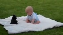 Komik Bebek ve Köpek Yavrusu