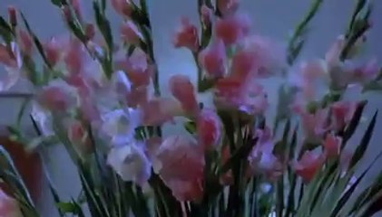 Aik Mehfil Mey Howa Hadsa Sub Ki Jan Gai