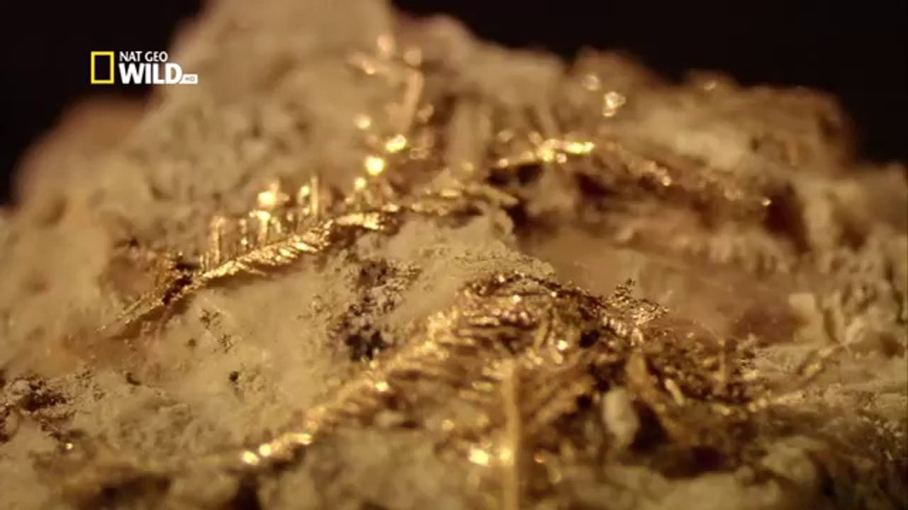 HISTOIRE DE LA GRANDE BRETAGNE L'OR