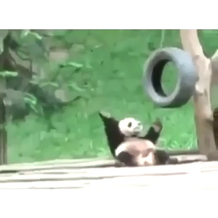 Hey!