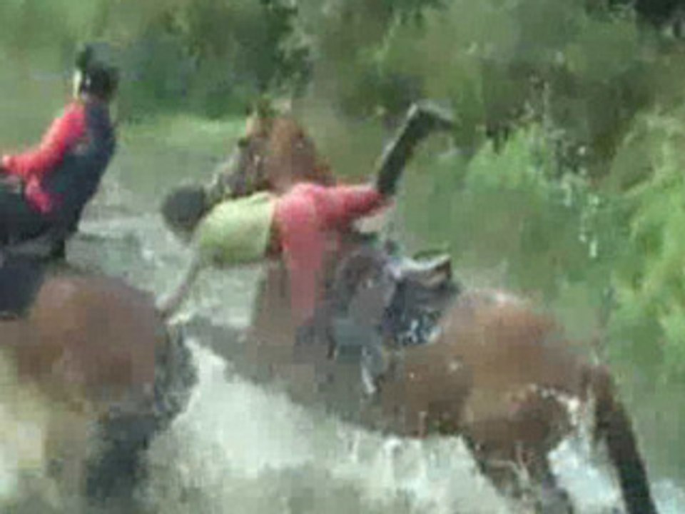 Chute de cheval  Fall Horse