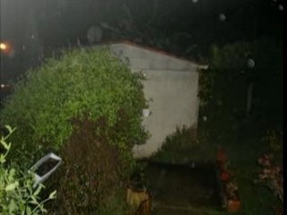 année 2006