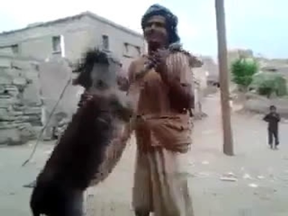 ئه‌م براده‌ره پرۆڤه ده‌کات پێش ئه‌وه‌ی گێڕل فرێند په‌یا بکات