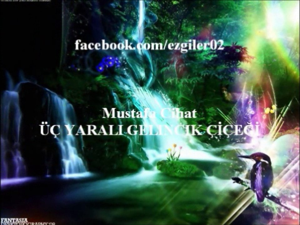Mustafa Cihat - ÜÇ YARALI GELİNCİK ÇİÇEĞİ (Amenna Albümü)