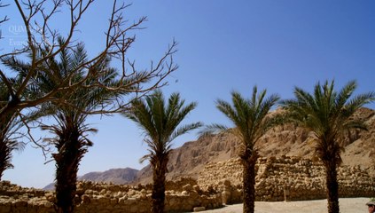 † Meditácie Ľubomíra Stančeka | Veriť v božstvo Syna Božieho Jn 10,31-42 | Qumran, Izrael