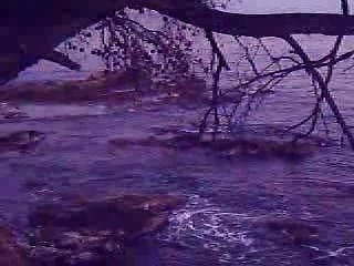 Interlude aux Issambres