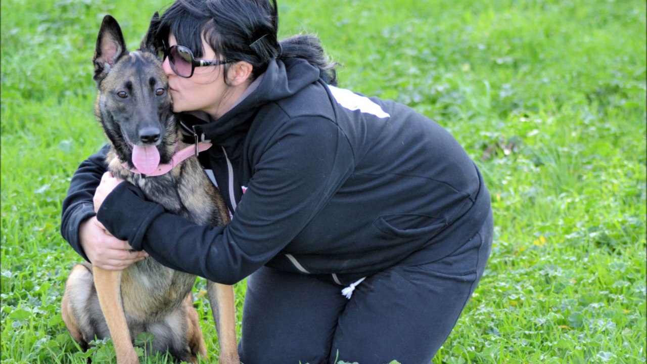 Hirka Malinois
