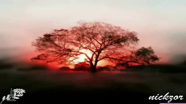 Zülfü Livaneli - Güneş Topla