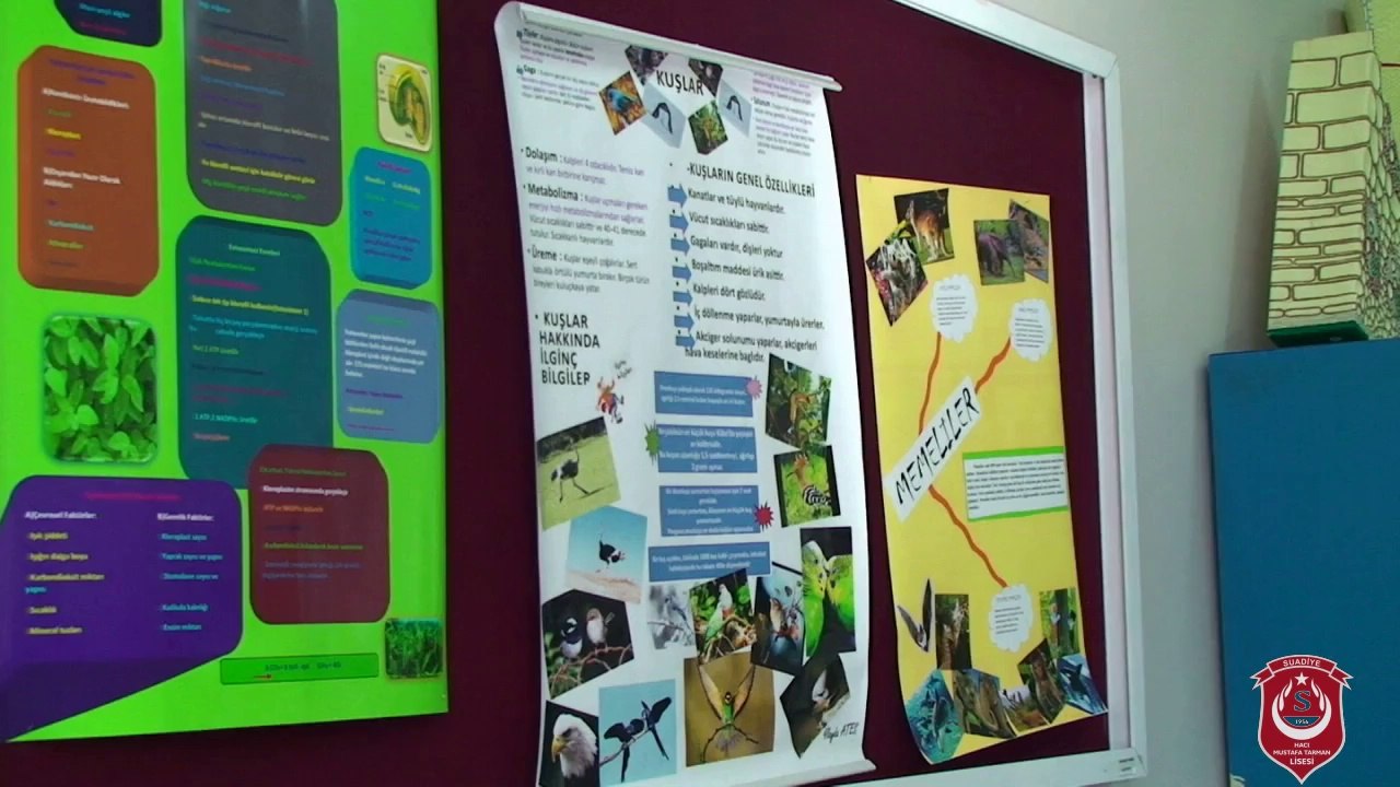 SUADİYE LİSESİ TANITIM FİLMİ