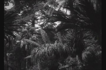 BEATRIZ COSTA CANTA «CASTELOS NO AR»