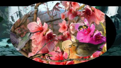 To jest moj swiat - Jesika